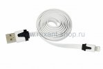 Rexant USB кабель для iPhone 5/5S 18-1974