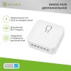 Rexant SEC-HV-201-2W Умное встраиваемое Wi-Fi реле двухканальное SECURIC