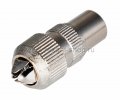 Rexant Разъем антенный на кабель 05-2031-9