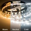 Rexant LED лента White Mix, 12 В, 12 мм, IP65 141-244