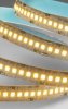 Rexant LED лента 24 В, 10 мм, IP23 141-621