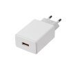 Rexant 16-0275 Сетевое зарядное устройство для iPhone/iPad USB, 5V, 2.1 A