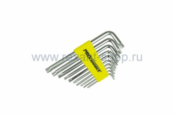Фотография товара 'Rexant Набор шестигранников 10 предметов T9-T50 12-5213-4'