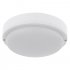 Фотография товара 'Rexant 607-260 Светильник ЖКХ LED пылевлагозащищенный круг IP65 12Вт 1000Лм 4000K'