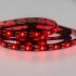 Фотография товара 'Rexant LED лента с USB коннектором 5 В, 8 мм, IP65 141-381'